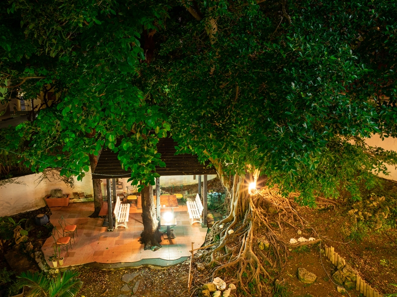大きな木の下に東家があります。夜には明かりがつけられます。